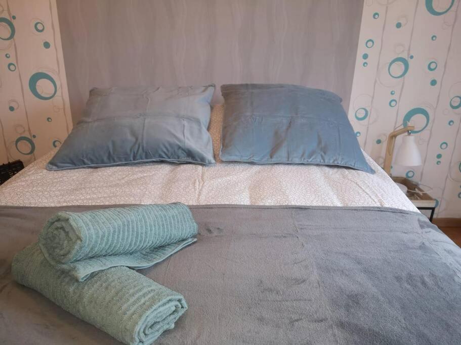 L'Escale - Appartement Spacieux Au Calme بريست المظهر الخارجي الصورة