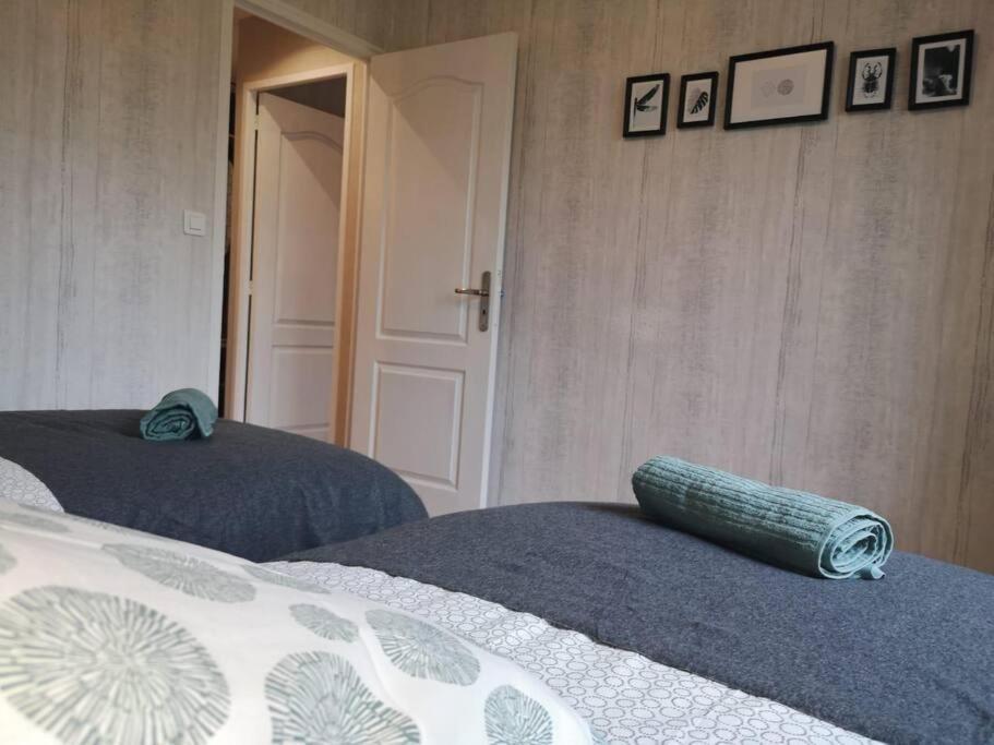 L'Escale - Appartement Spacieux Au Calme بريست المظهر الخارجي الصورة